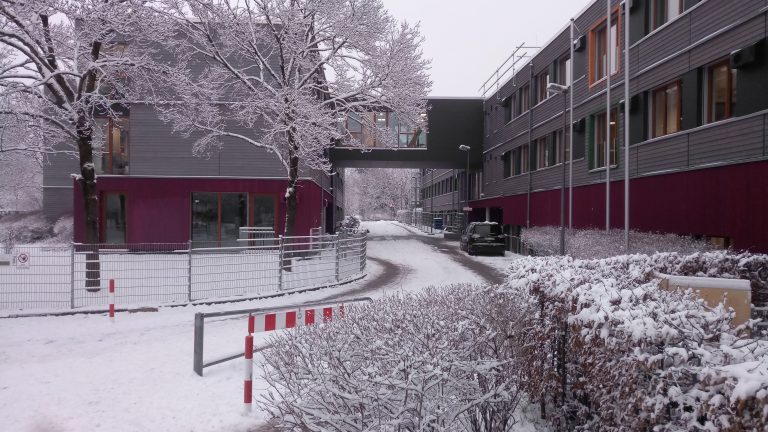 Ein schöner Wintertag :) !